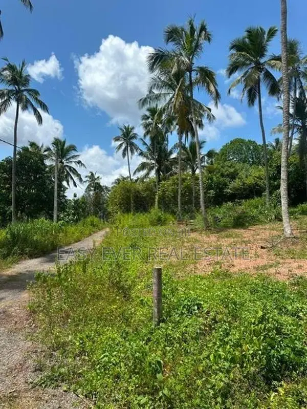 දිවුලපිටියෙන් අඩි 20 මාර්ග පහසුකම් සහිත නේවාසික ඉඩමක් විකිණීමට