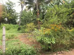 2 Land blocks for sale AgA office road kirillawala kadawata