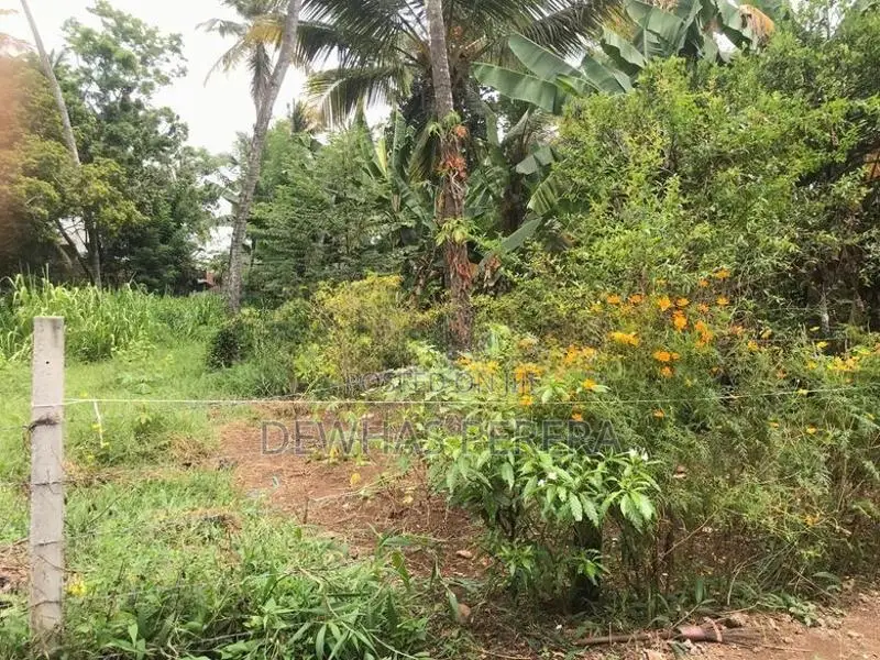 2 Land blocks for sale AgA office road kirillawala kadawata