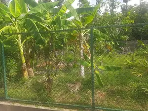 Residential Land for Sale in Battaramulla