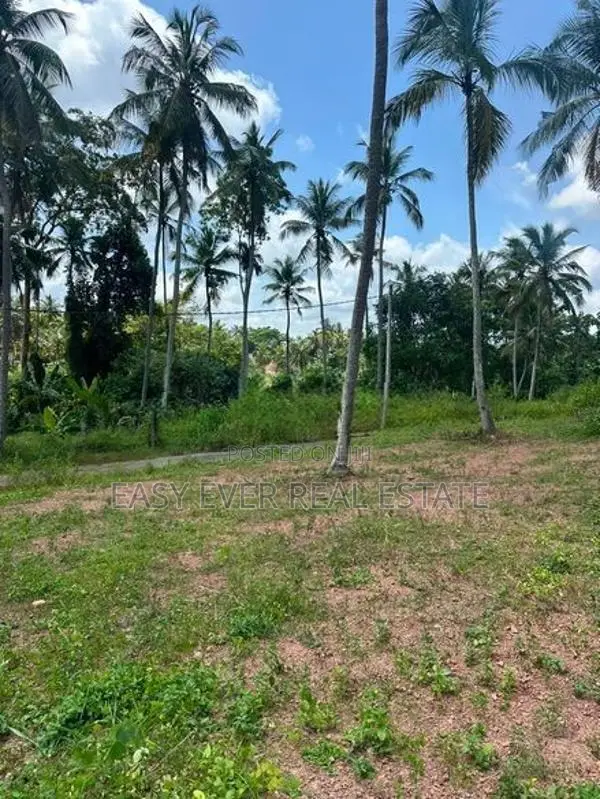 දිවුලපිටියෙන් අඩි 20 මාර්ග පහසුකම් සහිත නේවාසික ඉඩමක් විකිණීමට