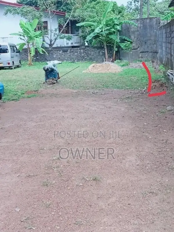 ජා එල වටිනා ඉඩමක් විකිණීමට