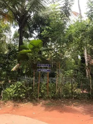 2 Land blocks for sale AgA office road kirillawala kadawata