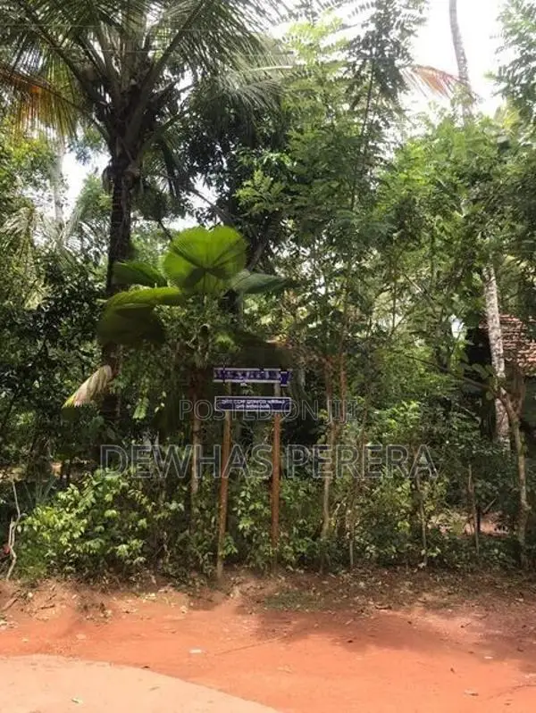 2 Land blocks for sale AgA office road kirillawala kadawata