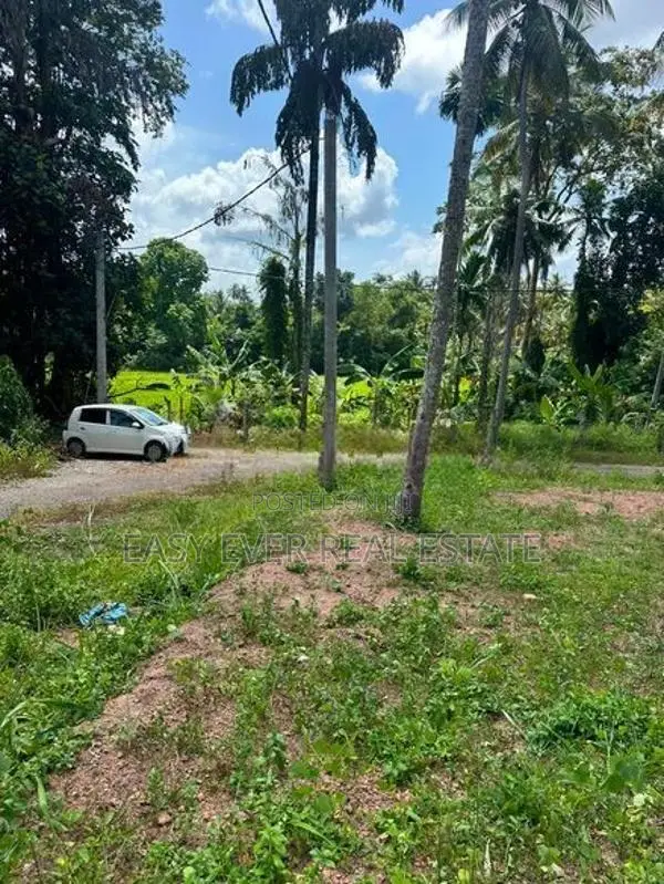 දිවුලපිටියෙන් අඩි 20 මාර්ග පහසුකම් සහිත නේවාසික ඉඩමක් විකිණීමට