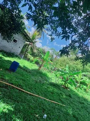 ජා එල වටිනා ඉඩමක් විකිණීමට