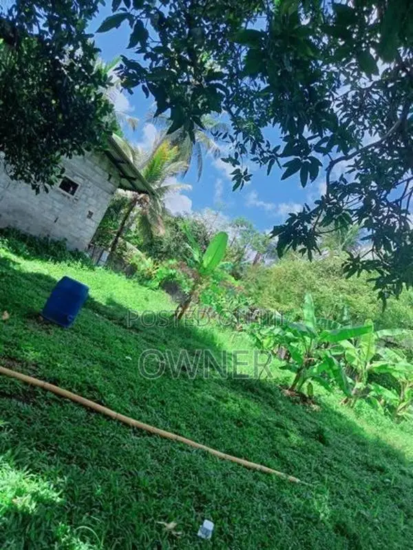 ජා එල වටිනා ඉඩමක් විකිණීමට