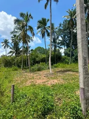 දිවුලපිටියෙන් අඩි 20 මාර්ග පහසුකම් සහිත නේවාසික ඉඩමක් විකිණීමට