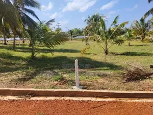 Land for Sale in Anuradhapura Nachchaduwa Road