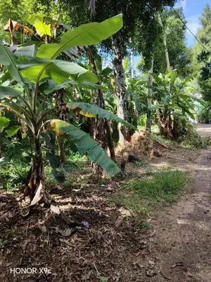 Land for Sale in Kandy