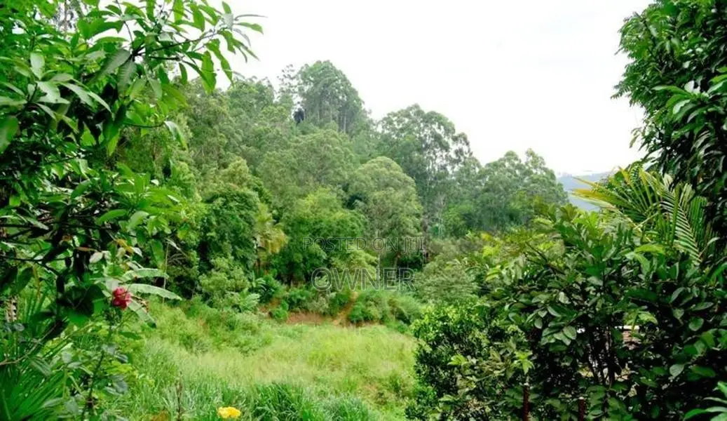 Mandakini Holiday Villa Short Term Rent – Bandarawela