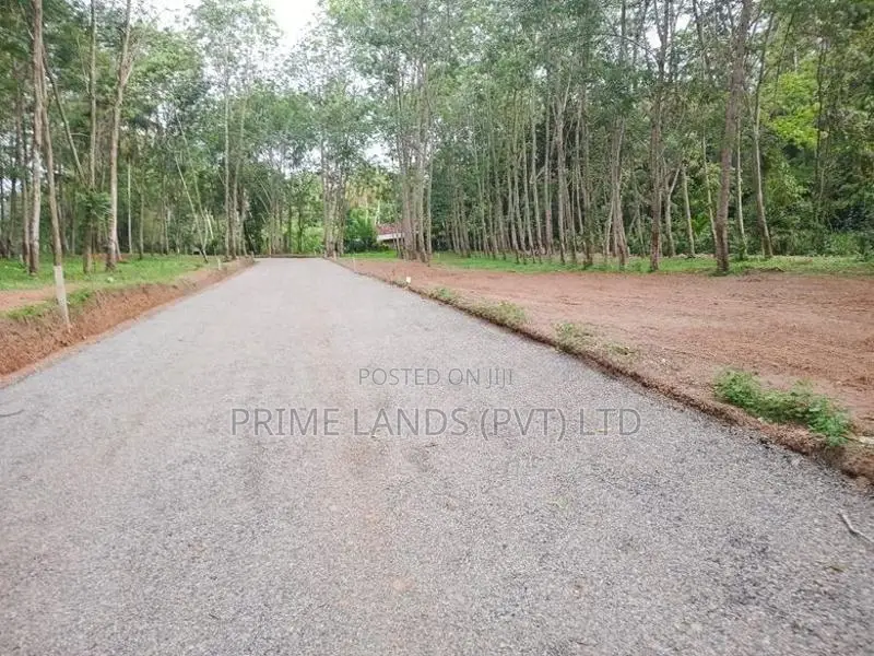 Land for Sale Diulapitiya