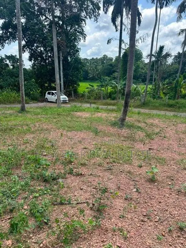 දිවුලපිටියෙන් අඩි 20 මාර්ග පහසුකම් සහිත නේවාසික ඉඩමක් විකිණීමට