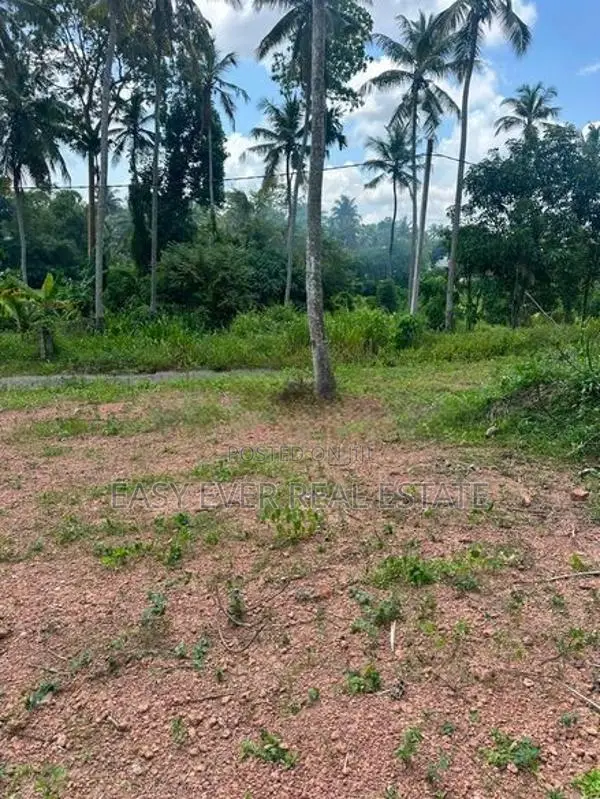 දිවුලපිටියෙන් අඩි 20 මාර්ග පහසුකම් සහිත නේවාසික ඉඩමක් විකිණීමට