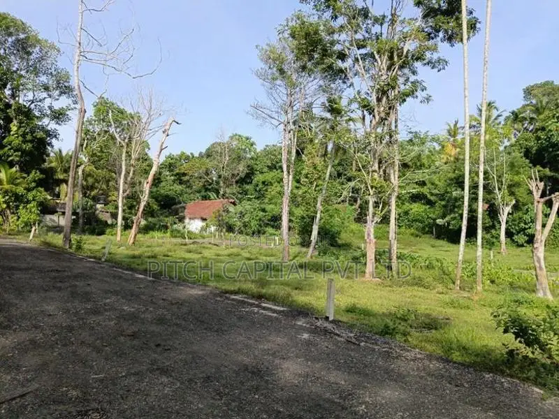 Valuable Land for Sale in Koggala