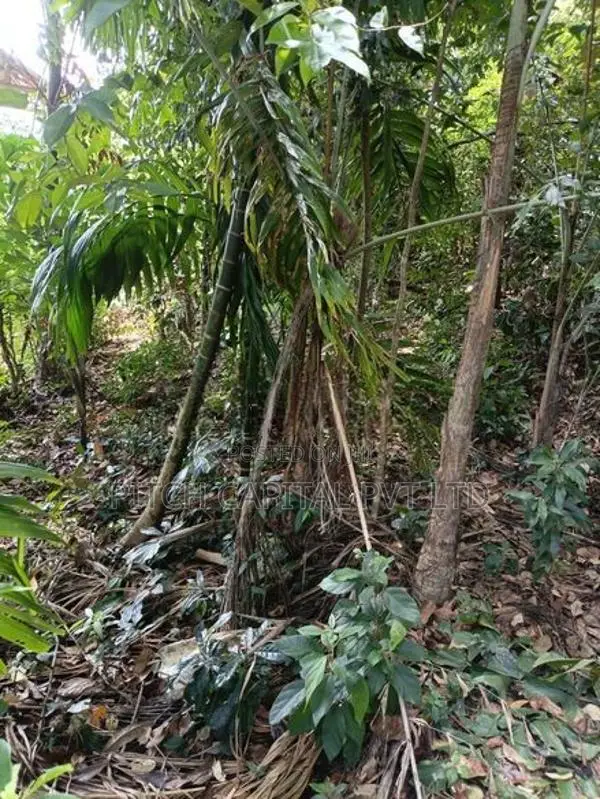 Valuable Land for Sale in Hiriketiya