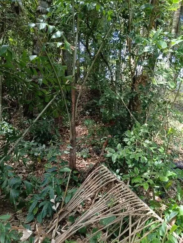 Valuable Land for Sale in Hiriketiya
