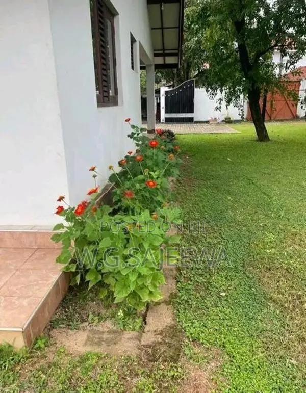 Residential or Commercial purposes house rent in Negombo - solar power
