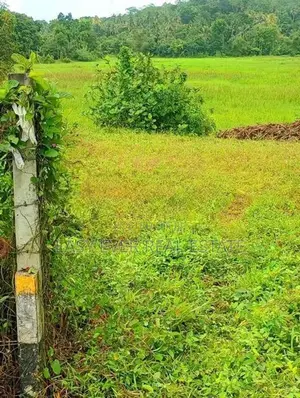 හංවැල්ලෙන් වෙලකට මායිම් බිම් කොටසක් විකිනීමට
