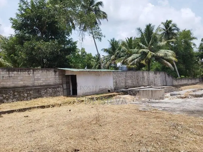 Land for Sale - Suitable Yard Minuwangate