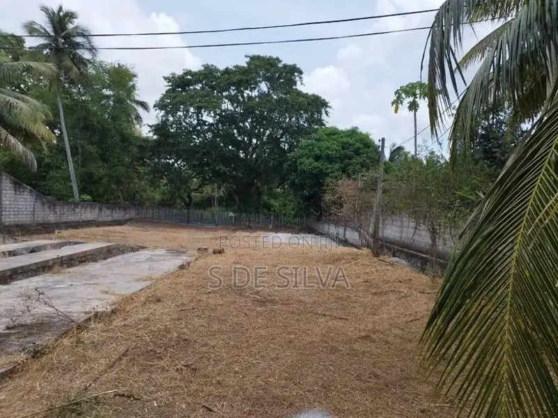 Land for Sale - Suitable Yard Minuwangate