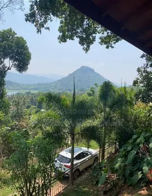 Land for Sale in Digana