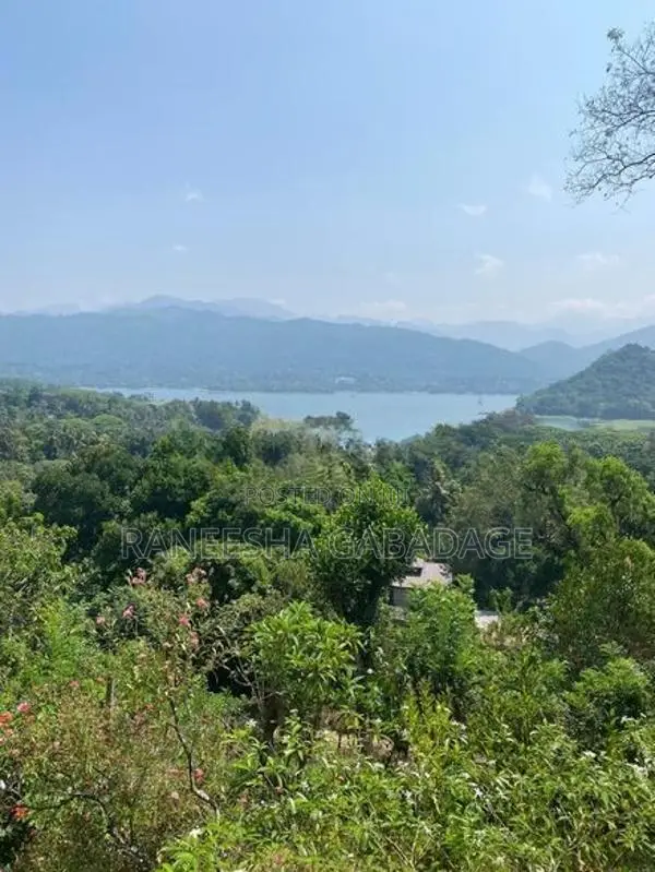 Land for Sale in Digana