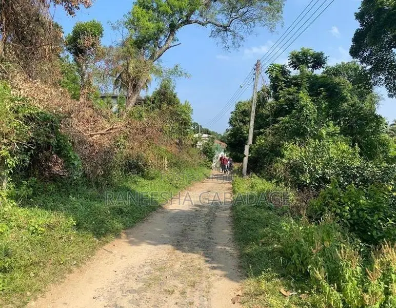 Land for Sale in Digana