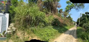 Land for Sale in Digana