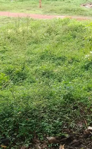 Land for Sale in Meegahawatta