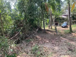 13.3 Perch Land for Sale – Imbulgoda, Kadawatha