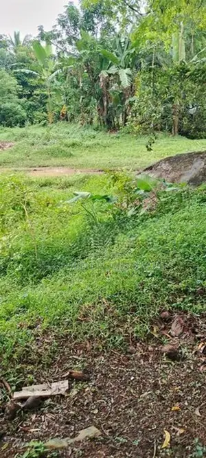 Land for Sale in Meegahawatta