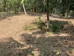 13.3 Perch Land for Sale – Imbulgoda, Kadawatha