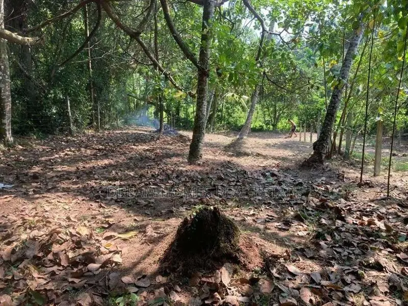 13.3 Perch Land for Sale – Imbulgoda, Kadawatha