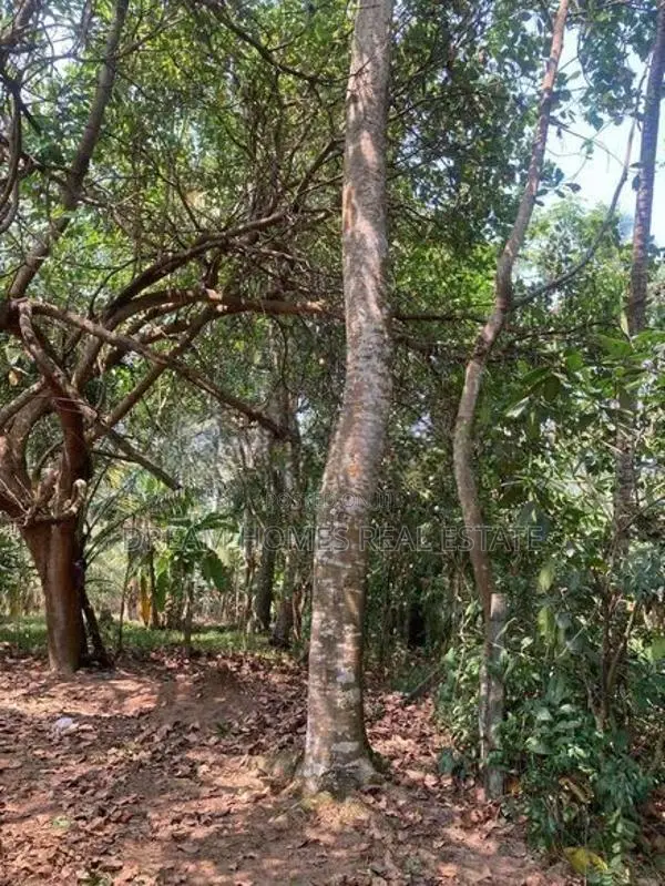 13.3 Perch Land for Sale – Imbulgoda, Kadawatha