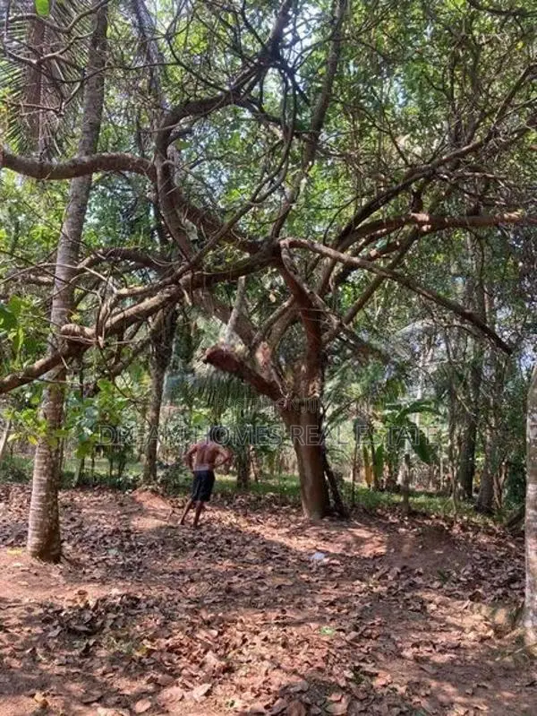 13.3 Perch Land for Sale – Imbulgoda, Kadawatha