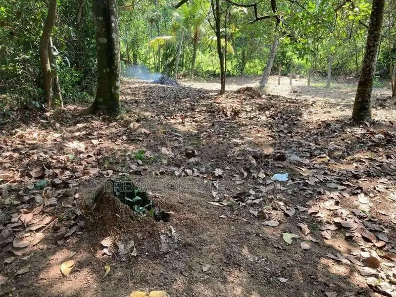 13.3 Perch Land for Sale – Imbulgoda, Kadawatha