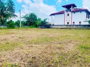 යක්කල ගල්තොටමුල්ල පාරෙන් වටිනා බිම් කොටස් විකිණීමට