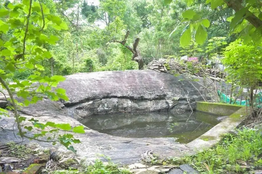 House with Land Sale Kurunegala Wariyapola