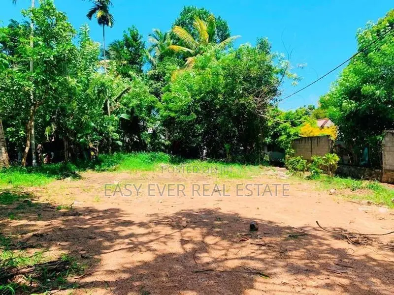 බැලුම්මහර මහජන මාවතෙන් වටිනා ඉඩමක්.