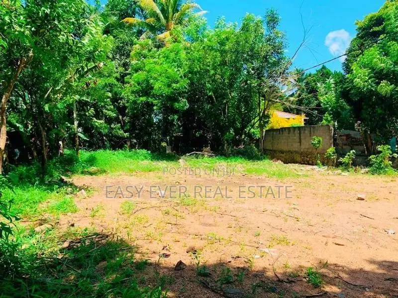 බැලුම්මහර මහජන මාවතෙන් වටිනා ඉඩමක්.
