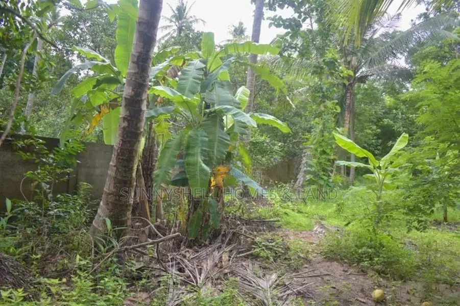 House with Land Sale Kurunegala Wariyapola