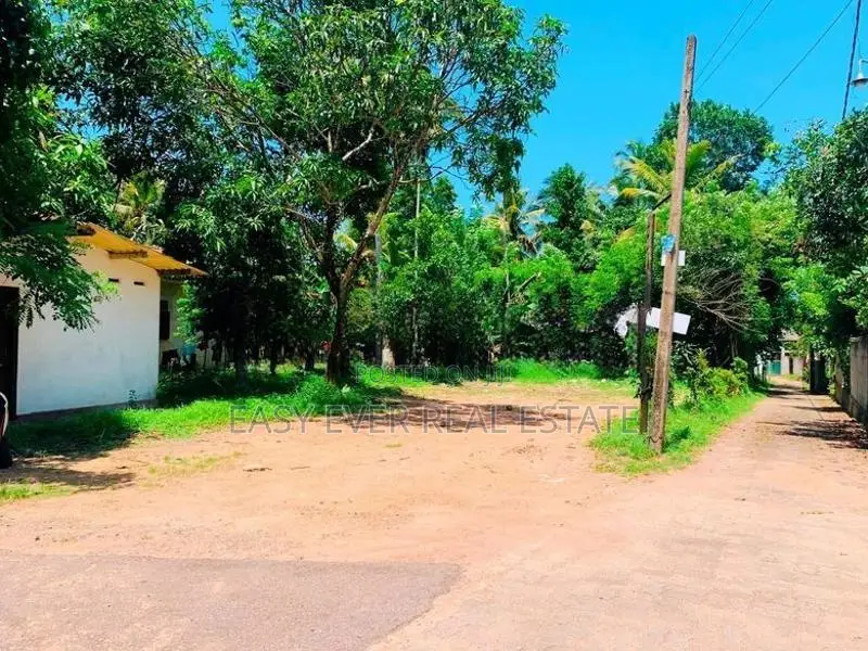 බැලුම්මහර මහජන මාවතෙන් වටිනා ඉඩමක්.