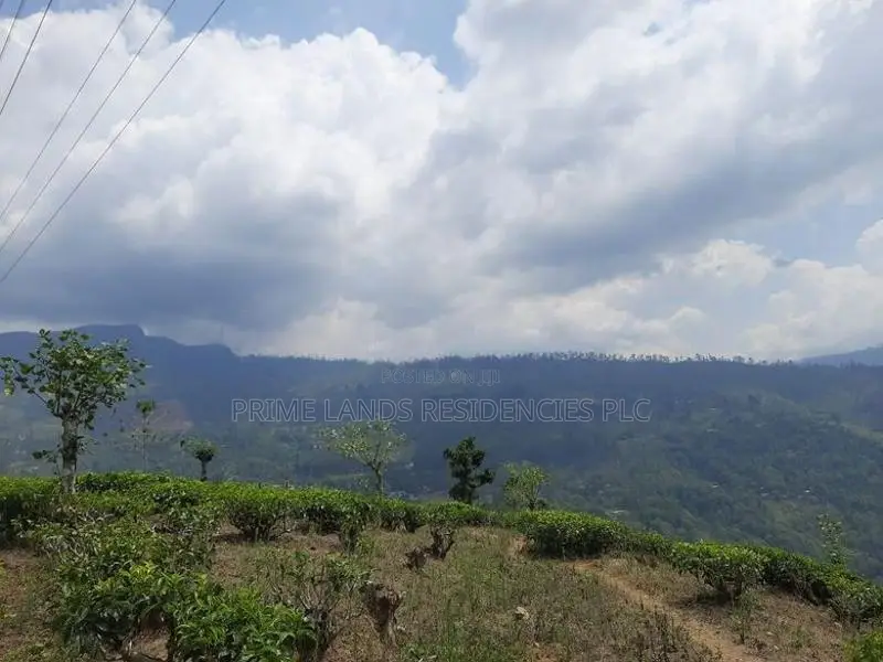 Land for Sale in Pundaluoya