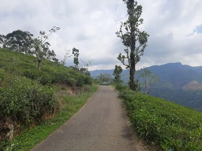 Land for Sale in Pundaluoya