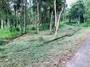 Land for Sale in Sinharagama