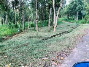 Land for Sale in Sinharagama