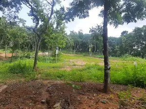 Land for Sale in Nelundeniya