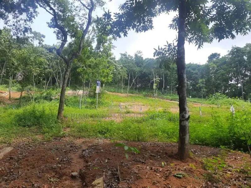Land for Sale in Nelundeniya