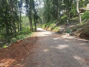 Land for Sale in Nelundeniya